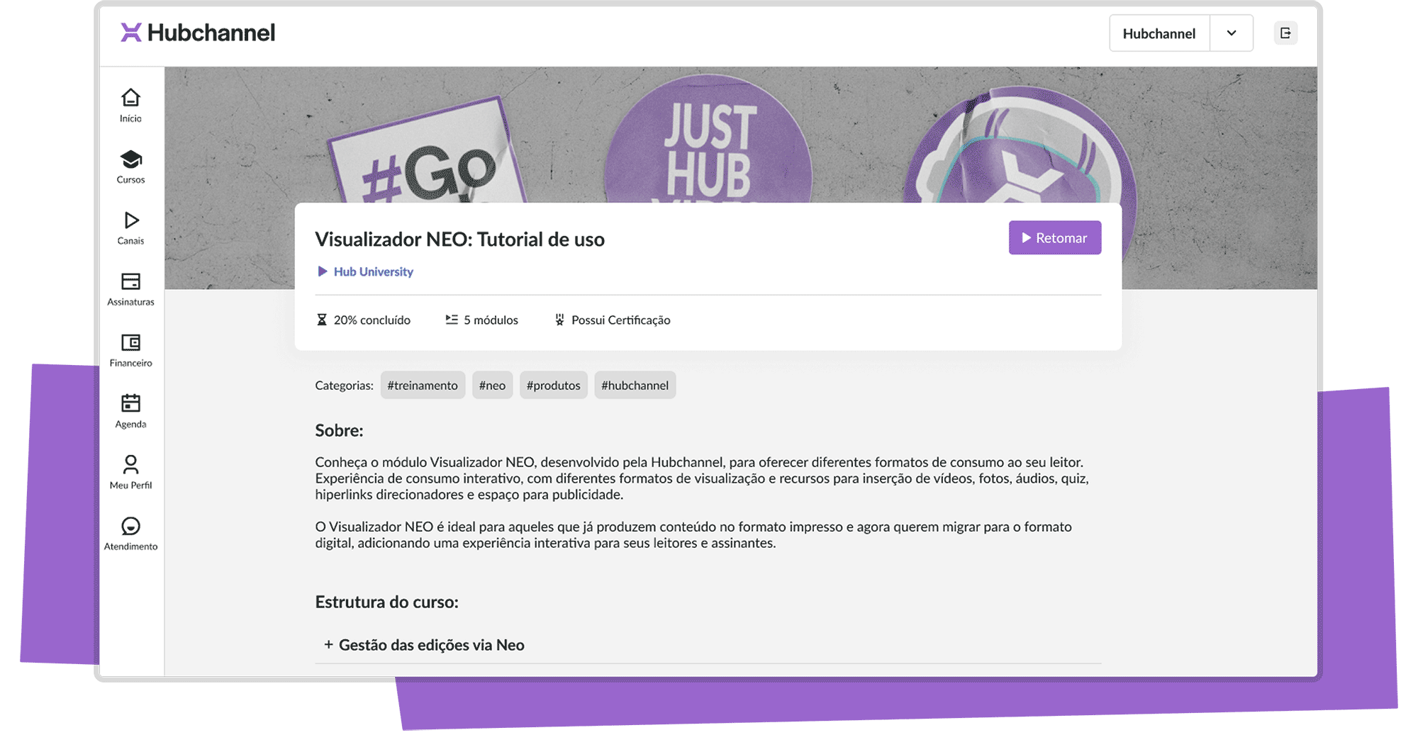 Visualizador Responsivo